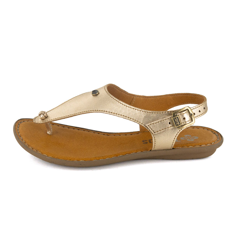 Ovaroli : Ladies Leather Tslops Sandal in Gold Foil